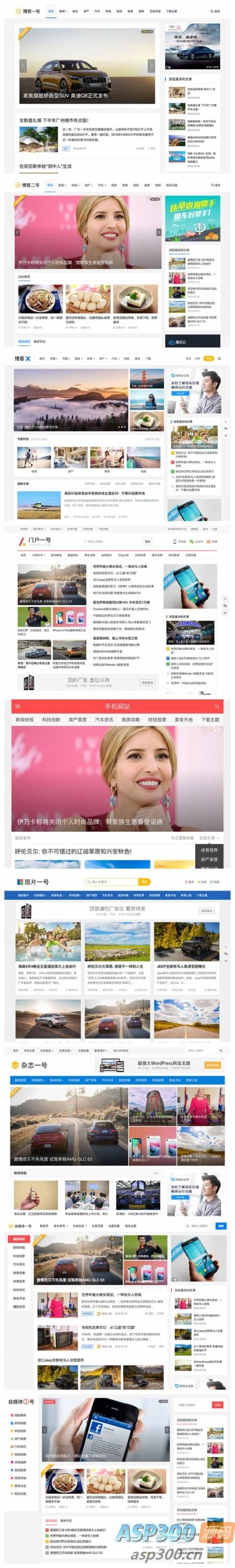 主题巴巴主题源码 合辑打包下载+主题巴巴SEO插件 | WordPress主题模版-骏易网络-码²，建站源码，游戏源码，网站模版，小程序app代码