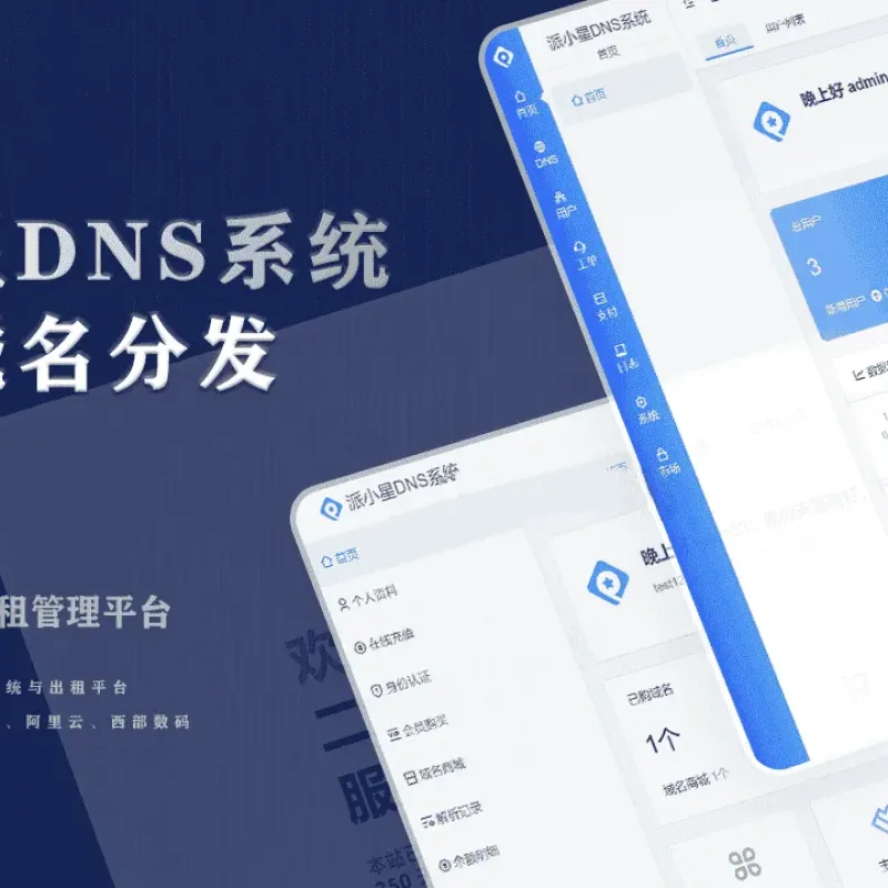 派小星DNS二级域名分发公测免费版源码-Alimm.Com-码²