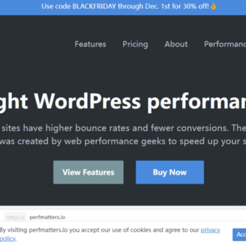 WordPress性能优化插件–Perfmatters v2.6.4 破解版下载-Alimm.Com-码²