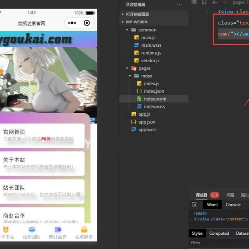 网站转小程序 任意网址打包成小程序源码-Alimm.Com-码²
