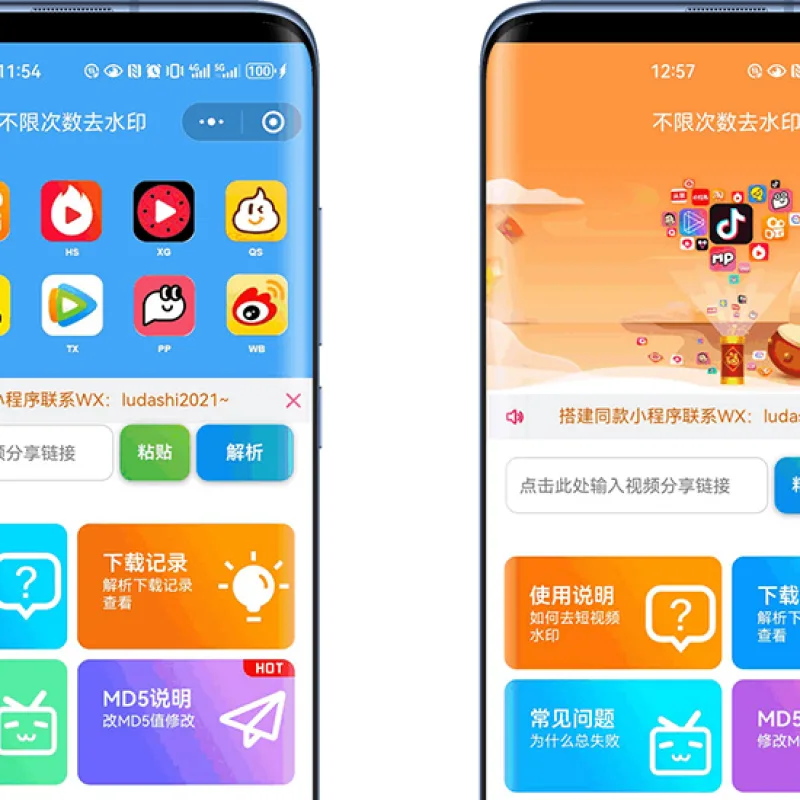 最新去水印小程序系统 前端+后端全套源码 多套模版 免授权-Alimm.Com-码²