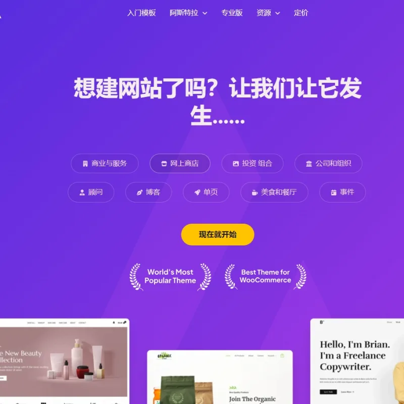 Astra独立站全套主题整理 带pro版插件-Alimm.Com-码²