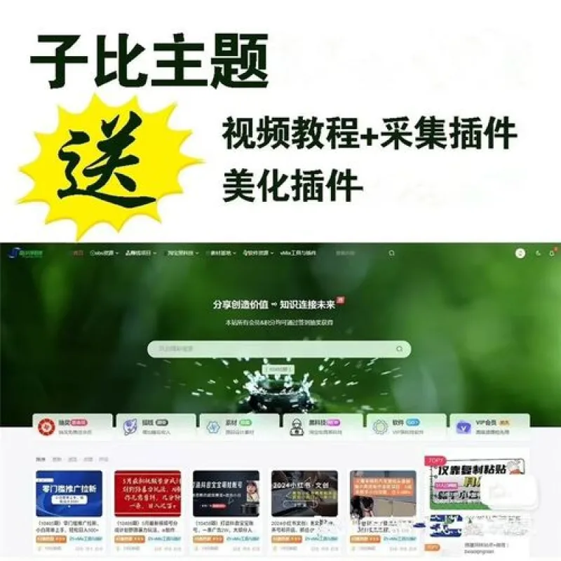网创教程自动采集wordpress插件子比主题-Alimm.Com-码²