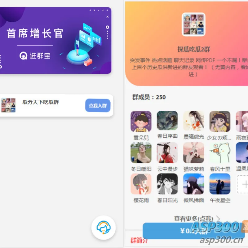WordPress开发进群V2主题源码，多种引流方法，引私域二次变现-Alimm.Com-码²