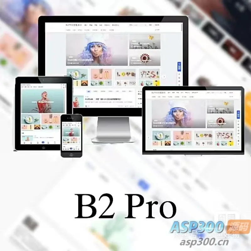 WordPress B2 Pro 主题5.2.0最新版本，欢乐版，包含官方包体和授权文件-Alimm.Com-码²
