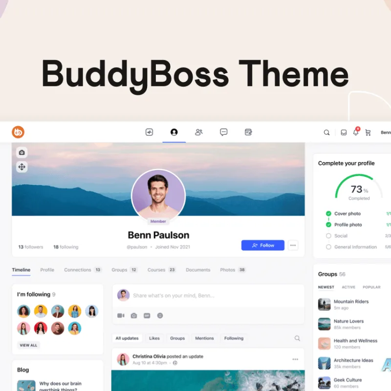 WordPress 定制主题BuddyBoss v2.4.30：个性化程度达到新高-Alimm.Com-码²