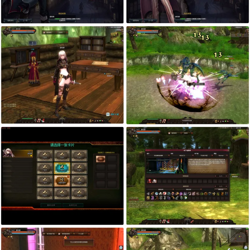 横版动作闯关MMORPG端游【颓废之心9职业】最新整理WIN系服务端+PC客户端+网页注册+GM工具+详细搭建教程+视频教程-Alimm.Com-码²