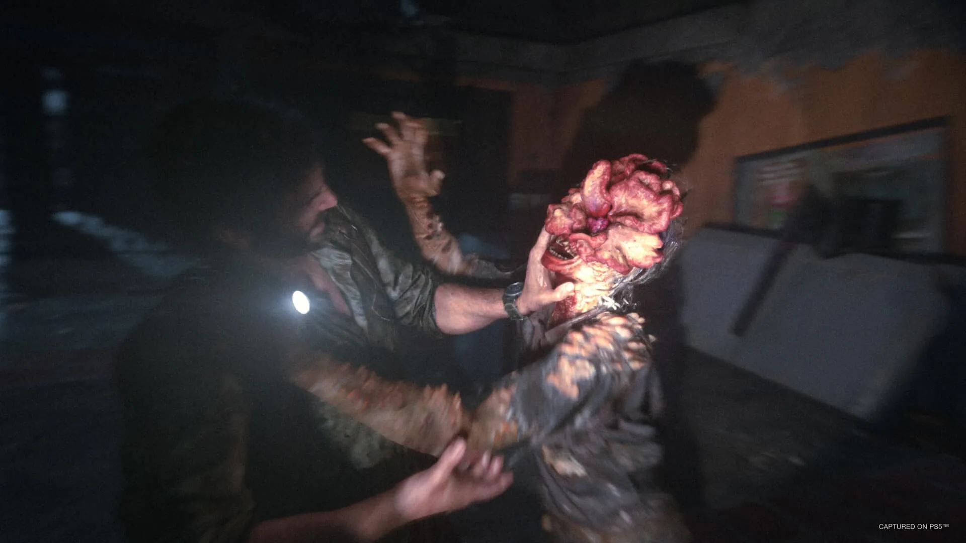 】最后的生还者/美国末日（The Last of Us）v1.14全DLC高压中文版