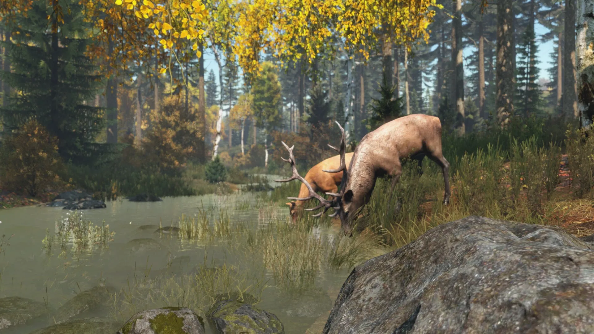 】DayZ v1.26单机中文版
