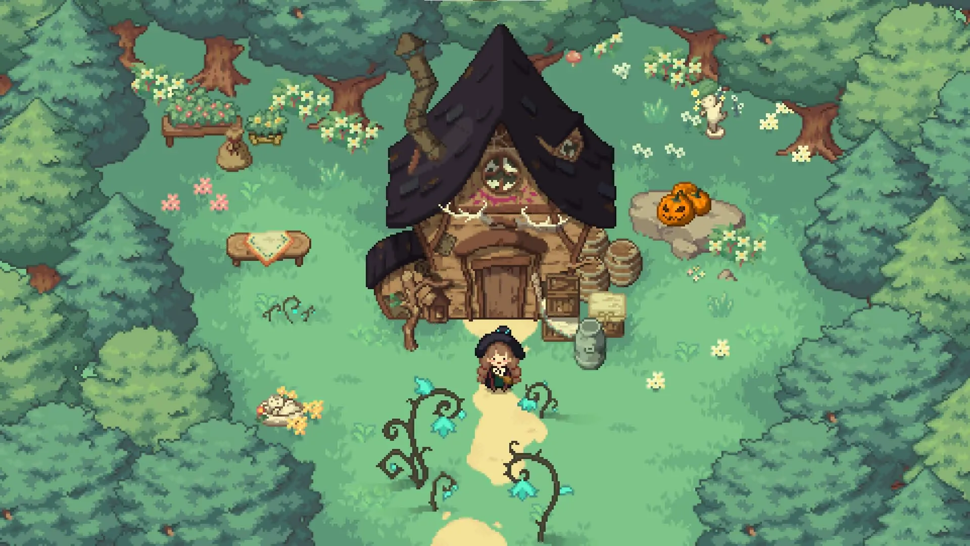 】森林里的小女巫（Little Witch in the Woods）v5.0.9.0 免安装中文版