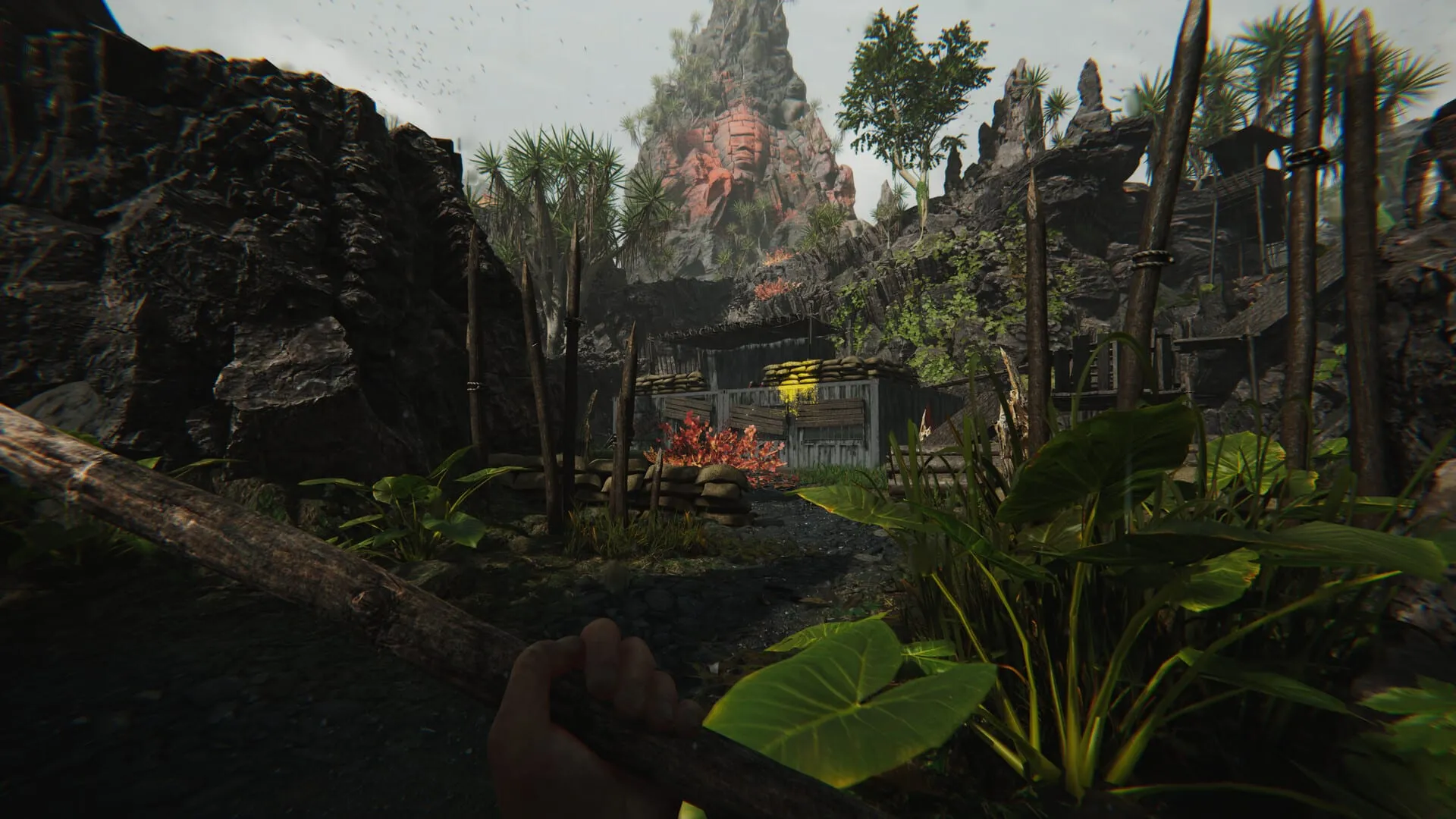 【PC单机】蛮荒计划（FEROCIOUS）免安装中文版