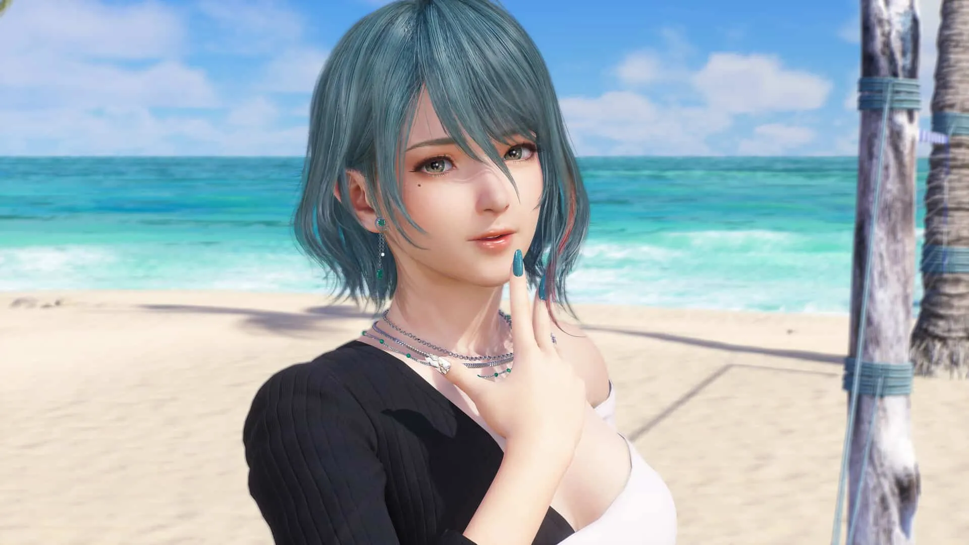 】死或生 维纳斯璀璨假期（Venus Vacation Prism Dead or Alive Xtreme）TENOKE中文版