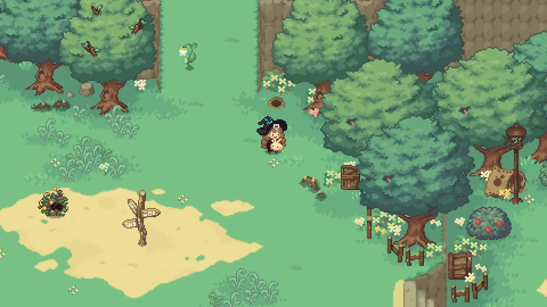 】森林里的小女巫（Little Witch in the Woods）v5.0.9.0 免安装中文版