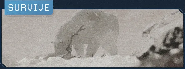 【PC单机】翼星求生（ICARUS）v2.2.13.125172 全DLC免安装中文版