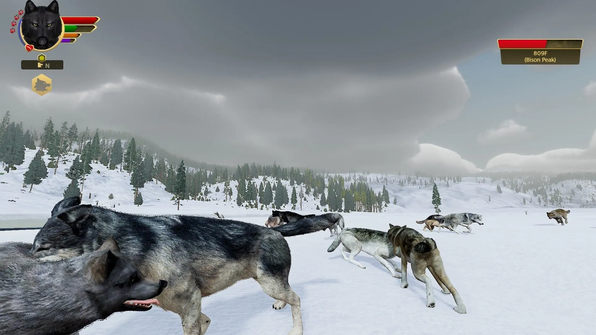】野狼谜踪（WolfQuest）v2.0.2RUNE英文版