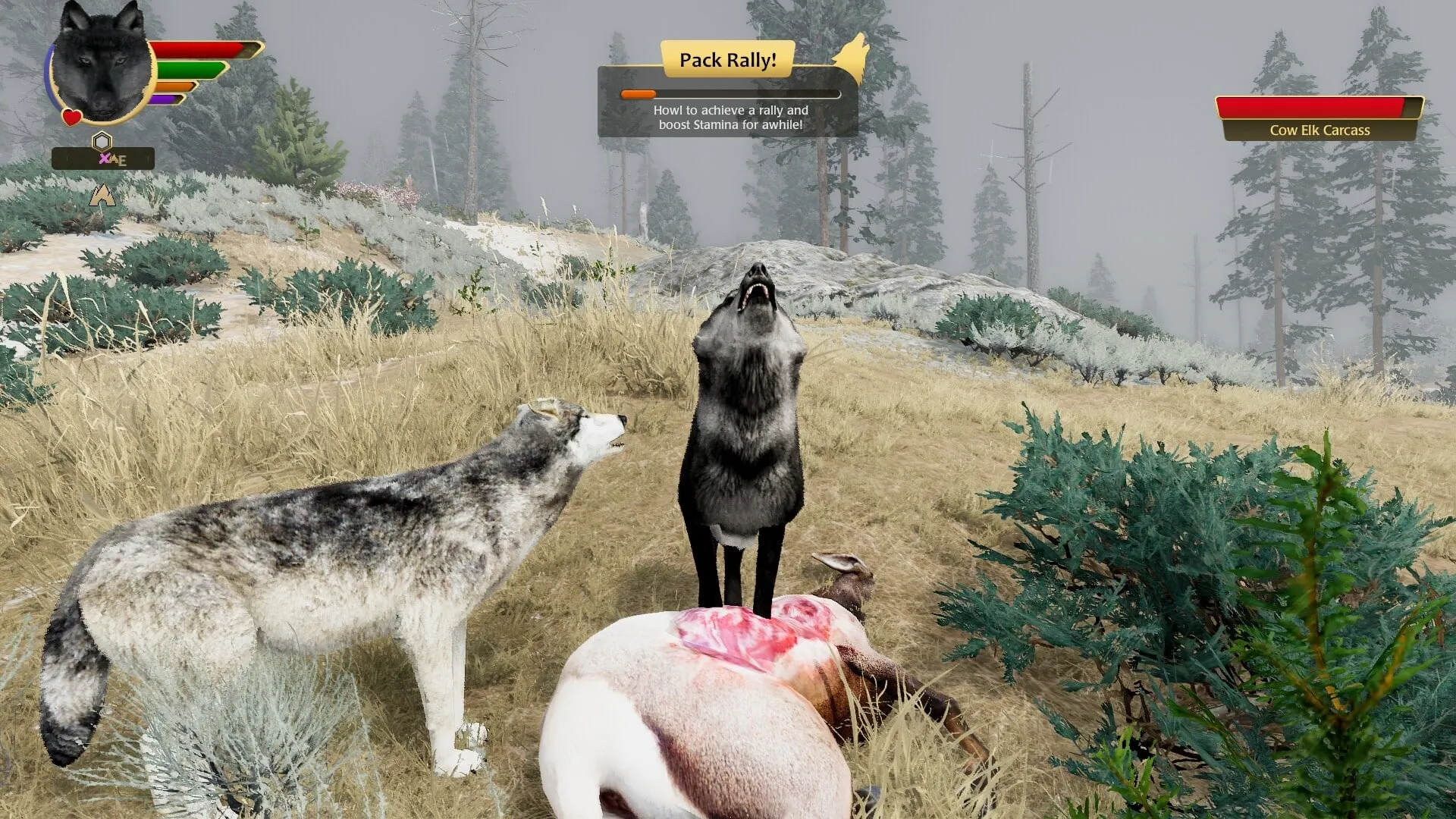 】野狼谜踪（WolfQuest）v2.0.2RUNE英文版