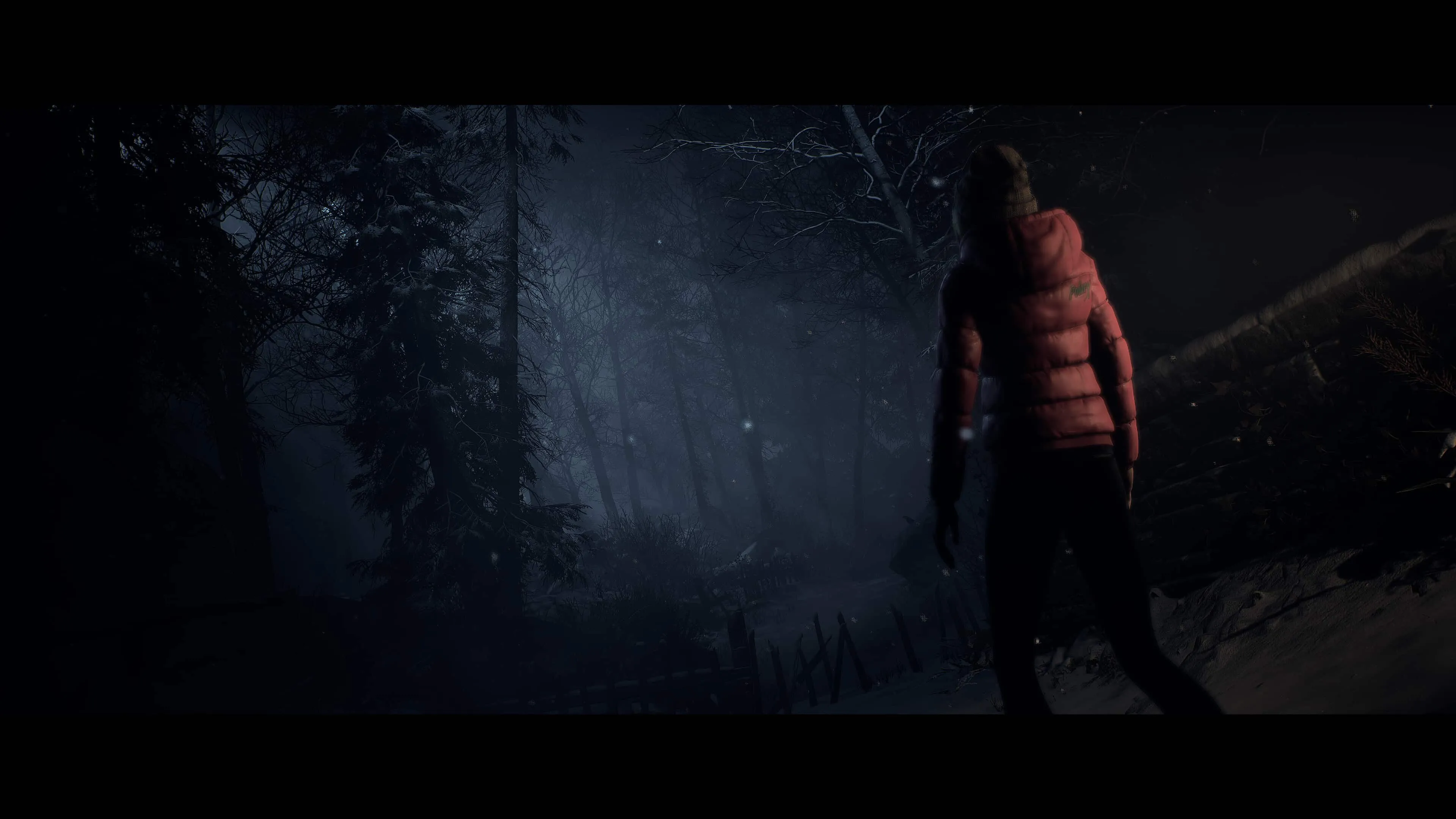 【PC单机】直到黎明（Until Dawn）免安装中文版