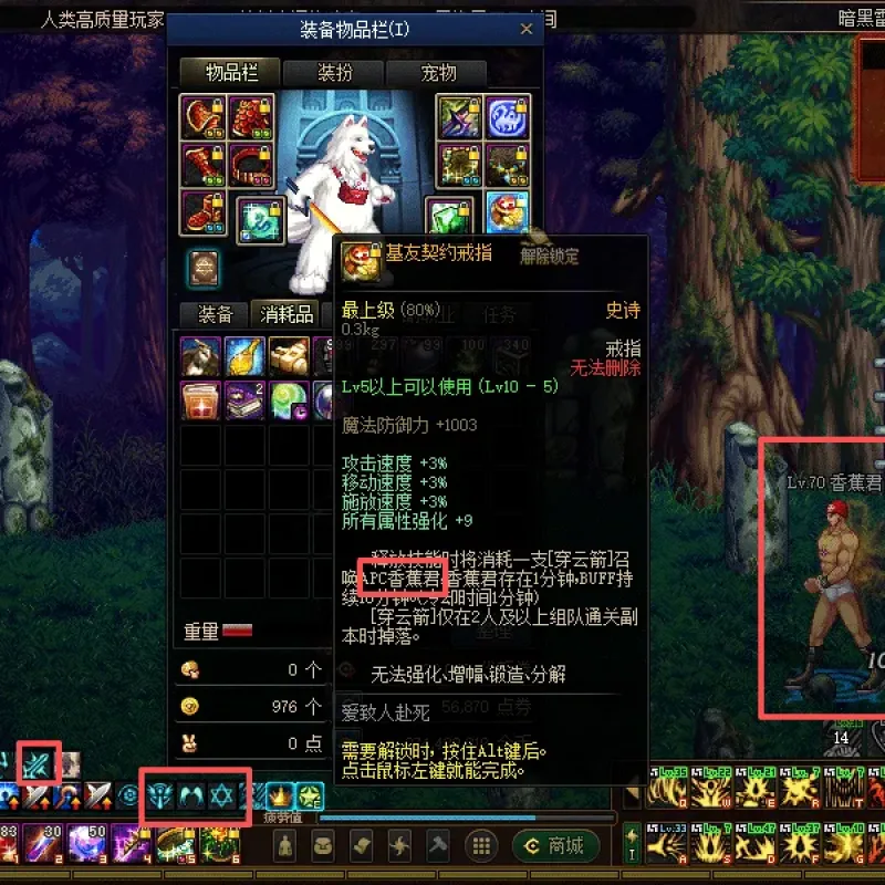 [一键安装] DNF极简70v2.1（让我一个怀旧玩家着迷的版本-Alimm.Com-码²