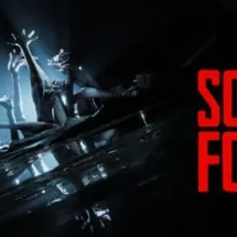 【PC单机】森林之子/亚洲之子（Sons Of The Forest）v53951免安装中文版-Alimm.Com-码²