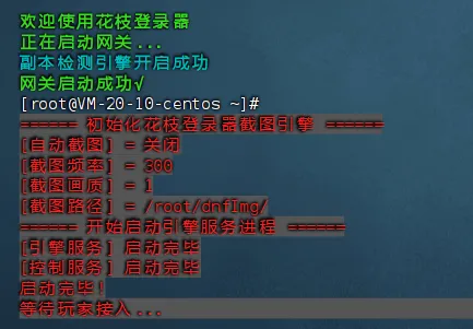 [手工架设] 70版本DOF开服的端 有大佬做成一键玩单机吗