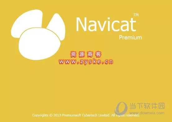 n11数据程式管理工具专业版 V11.0.10 绿色免费版
