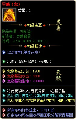 实测可用！暗黑神宠翎风引擎精修版 技能魔次单职业分享