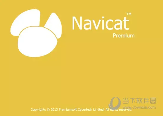 n11数据程式管理工具专业版 V11.0.10 绿色免费版
