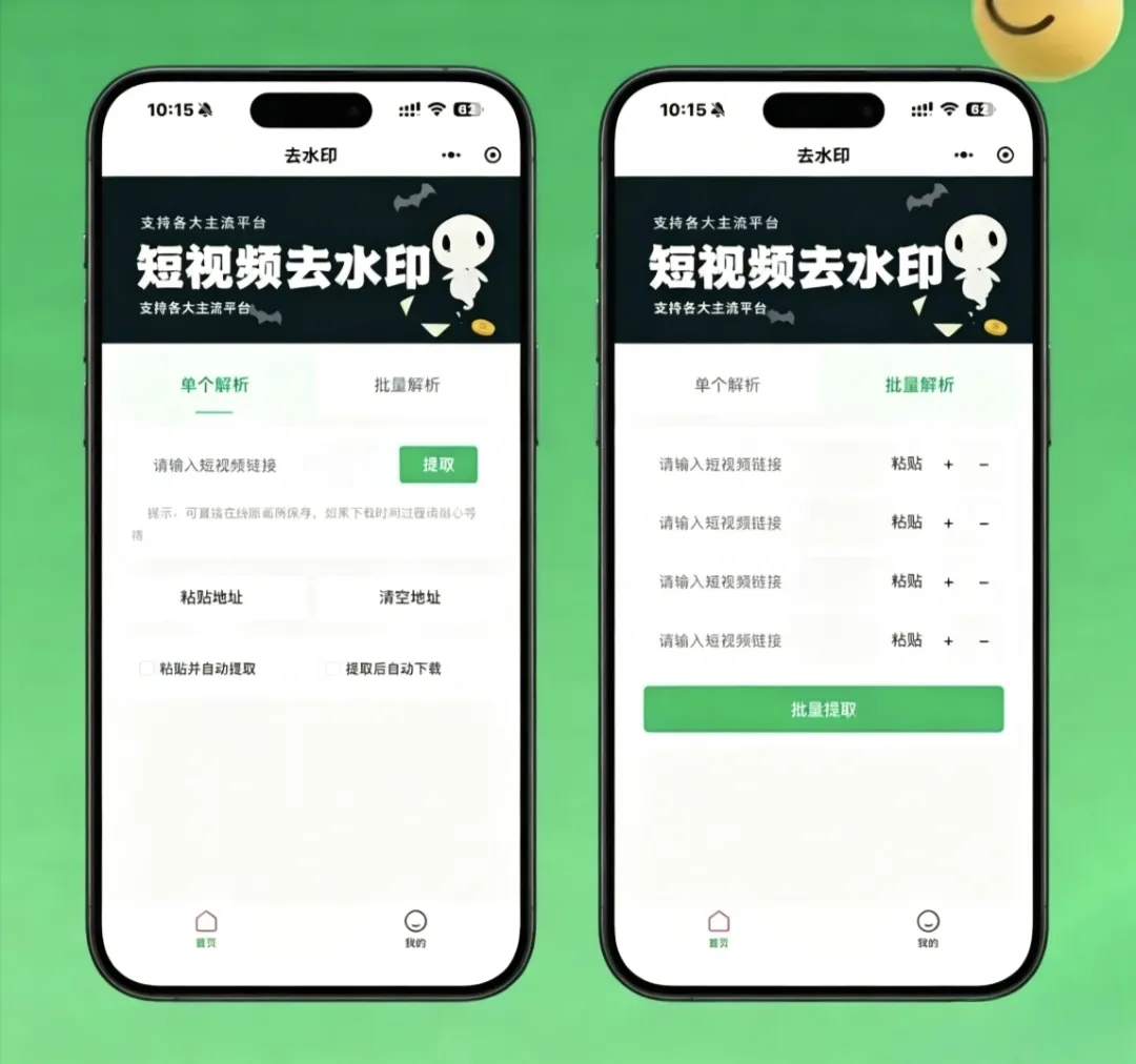 去水印小程序源码v1.6.5 微信流量主变现短视频解析小程序完整源码
