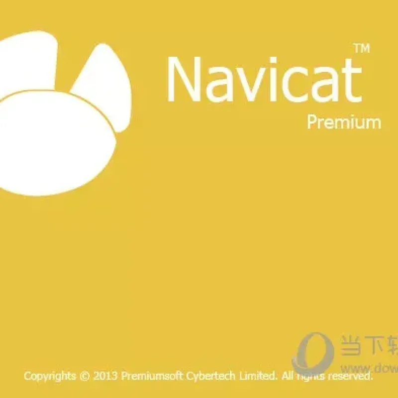 n11数据程式管理工具专业版 V11.0.10 绿色免费版-Alimm.Com-码²