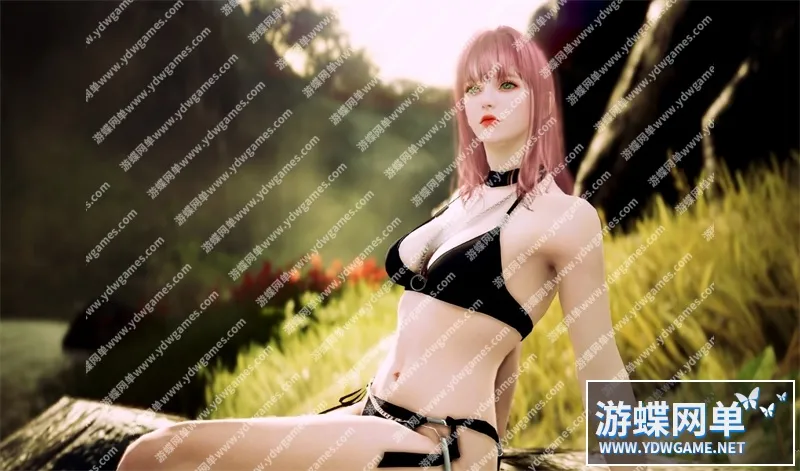 [一键安装] 黑色沙漠单机版一键端全球交易所黑精灵游戏工会排名
