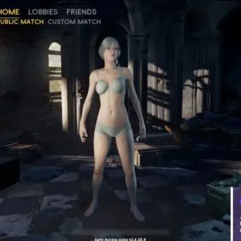 [一键安装] PUBG版本服务端源码-Alimm.Com-码²