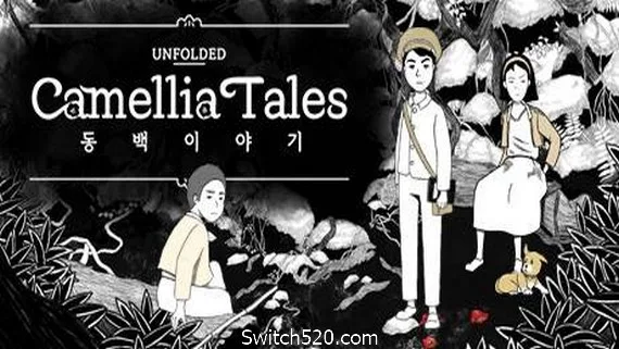 图片[1]-展现山茶花的故事/Unfolded : Camellia Tales-Alimm.Com-码²
