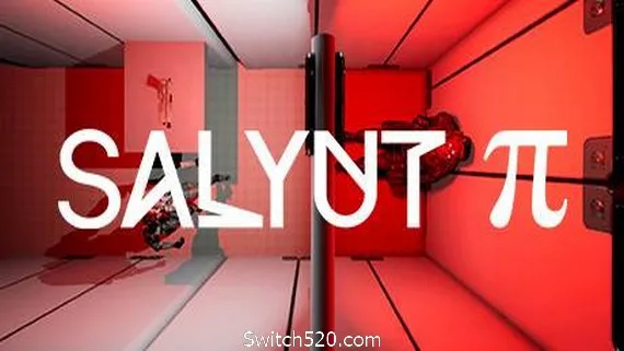 图片[1]-Salyut π-Alimm.Com-码²
