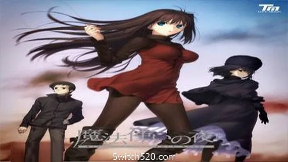 图片[1]-魔法使之夜-Alimm.Com-码²