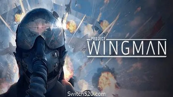 图片[1]-僚机计划/Project Wingman-Alimm.Com-码²