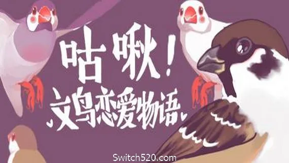 图片[1]-咕啾！文鸟恋爱物语/Love Story of Sparrow-Alimm.Com-码²