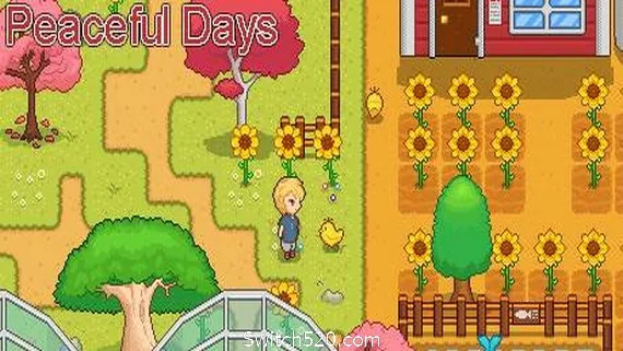图片[1]-宁静时光/Peaceful Days（v5710330）-Alimm.Com-码²