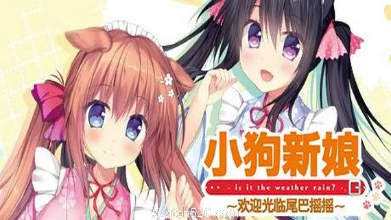 图片[1]-小狗新娘～欢迎光临尾巴摇摇-Alimm.Com-码²