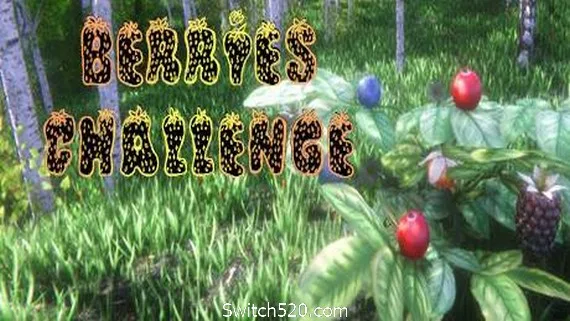图片[1]-浆果挑战赛/Berries Challenge-Alimm.Com-码²