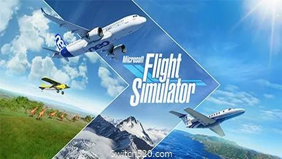 图片[1]-PC微软飞行模拟2020/Microsoft Flight Simulator-Alimm.Com-码²