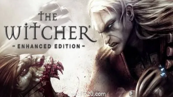 图片[1]-巫师 导演剪辑增强版/The Witcher: Enhanced Edition Directors Cut-Alimm.Com-码²