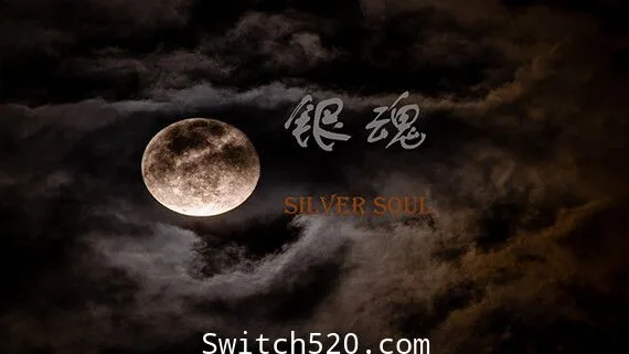 图片[1]-银魂:Silver Soul/官方中文语音/完美学习版-Alimm.Com-码²