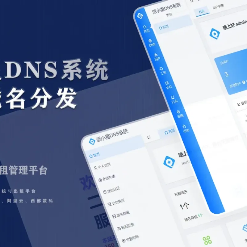 派小星DNS二级域名分发源码-Alimm.Com-码²