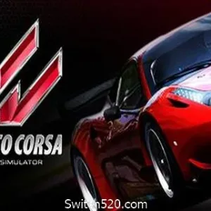 神力科莎/Assetto Corsa（V1.16.4）-Alimm.Com-码²