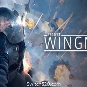 僚机计划/Project Wingman-Alimm.Com-码²