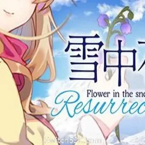 雪中花-Alimm.Com-码²