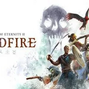 永恒之柱2：死亡之火/Pillars of Eternity II:Deadfire（v5.0.0.0040黑耀石版）-Alimm.Com-码²