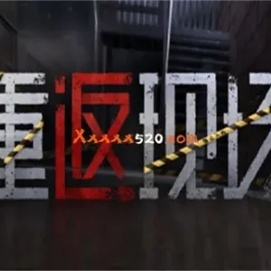 重返现场|官方中文|V1.0.0+中文语音-Alimm.Com-码²