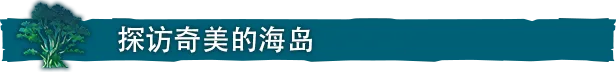 图片[9]-海之呼唤|官方中文|Build.7051373-海风吟唱-旅人思绪-Alimm.Com-码²
