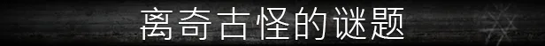 图片[15]-流浪的灵魂 STRAY SOULS|官方中文-Alimm.Com-码²
